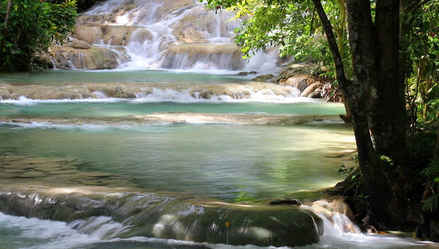 Tour por Ocho Ríos y cascadas del río Dunn - Foto 3