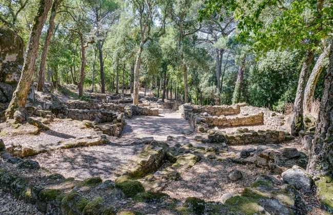 Visita guiada por el Castro de Santomé - Foto 2