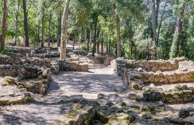 Visita guiada por el Castro de Santomé - Foto 2