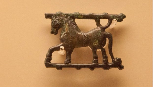 Visita guiada por el Castro de Santomé - Foto 5