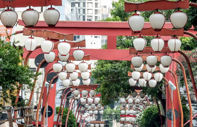 Visita guiada por Sao Paulo - Foto 2