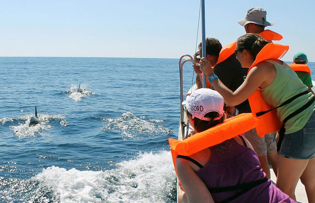 Avistamiento de delfines en Olhao - Foto 3