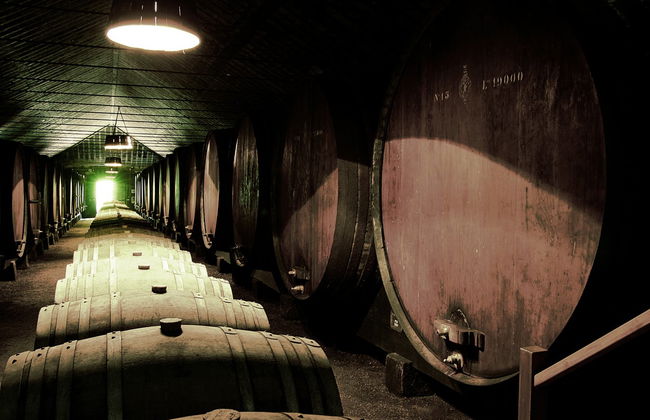 Tour por Arrábida + Cata de vinos - Foto 5