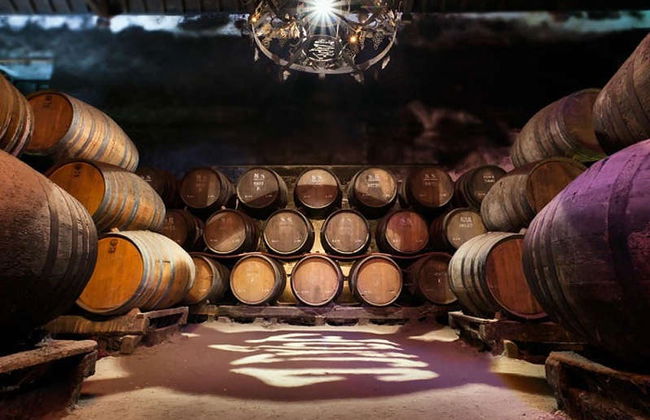 Tour por Arrábida + Cata de vinos - Foto 3
