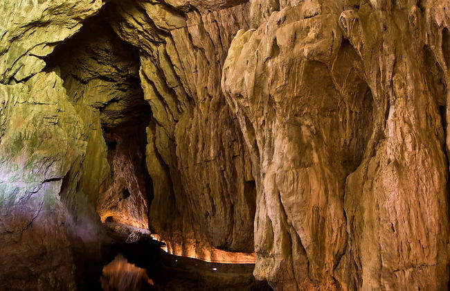 Excursão a Lipica e grutas de Skocjan - Foto 6