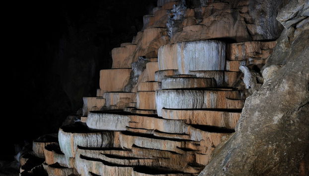 Excursão a Lipica e grutas de Skocjan - Foto 5
