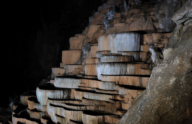 Excursão a Lipica e grutas de Skocjan - Foto 5