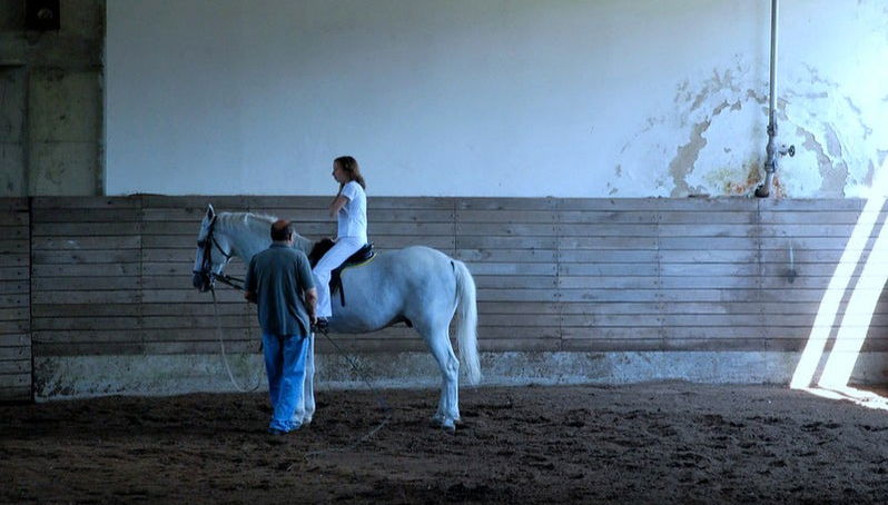 Excursão a Lipica e grutas de Skocjan - Foto 1