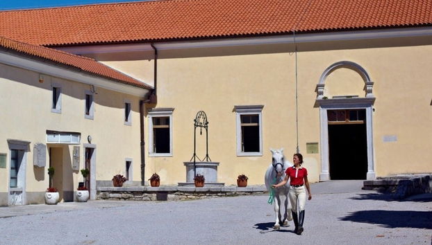 Excursão a Lipica e grutas de Skocjan - Foto 3