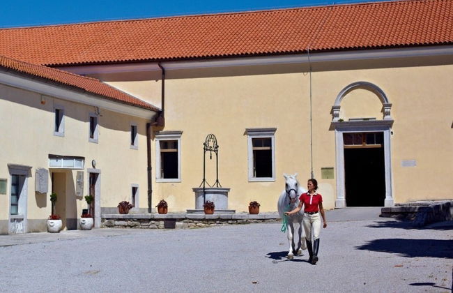 Excursão a Lipica e grutas de Skocjan - Foto 3