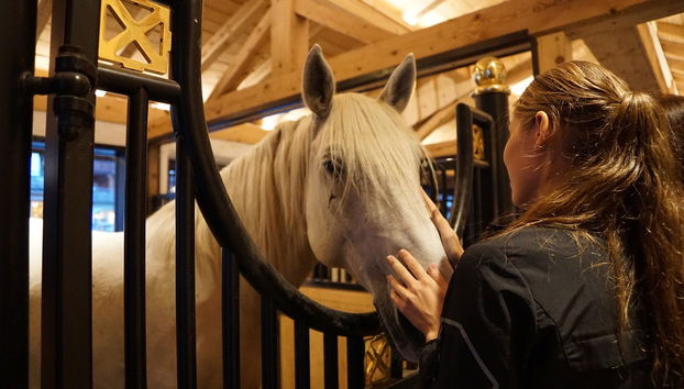 Excursão a Lipica e grutas de Skocjan - Foto 2