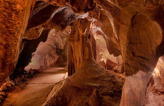 Excursión a las cuevas de San José - Foto 8