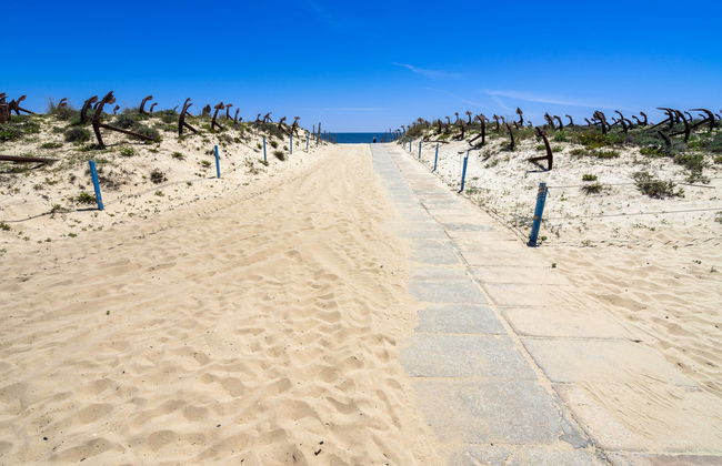 Paseo en barco por las islas de la Ría Formosa - Foto 6
