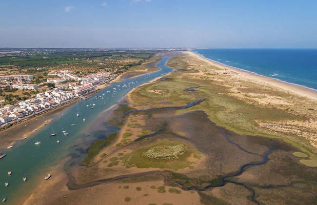 Paseo en barco por las islas de la Ría Formosa - Foto 7