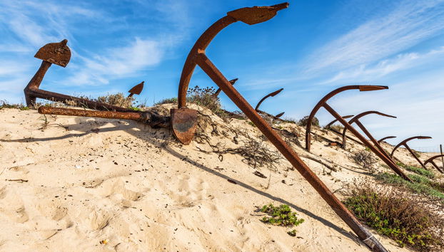 Paseo en barco por las islas de la Ría Formosa - Foto 2