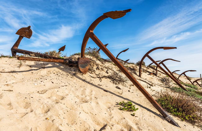 Paseo en barco por las islas de la Ría Formosa - Foto 2