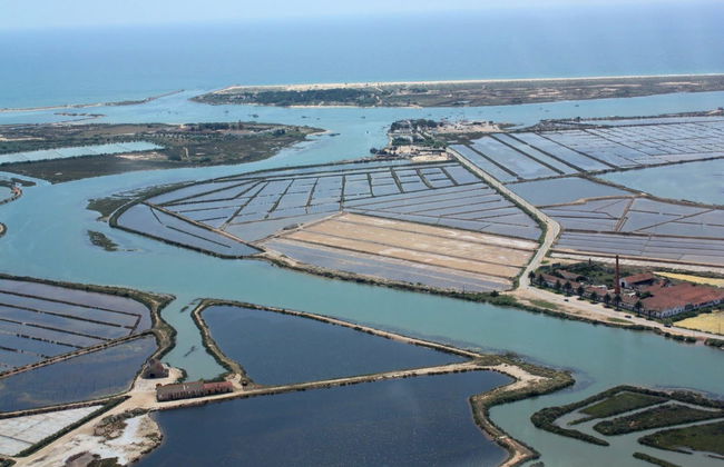 Ria Formosa Islands Cruise - Photo 2