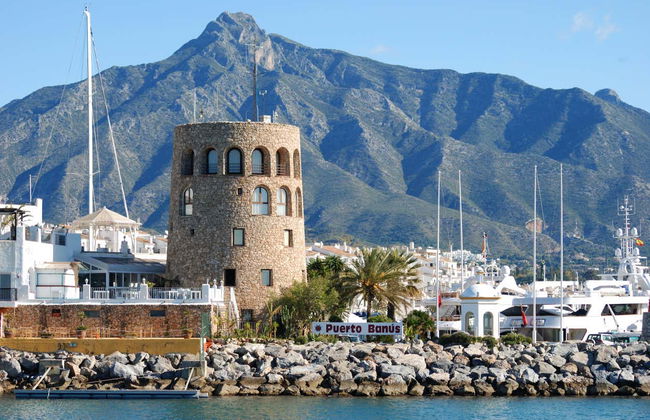 Giro in catamarano con avvistamento di delfini - Foto 5