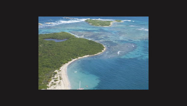 Excursión a Icacos en catamarán - Foto 5