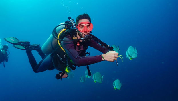 Koh Tao Scuba Diving Experience - Photo 4