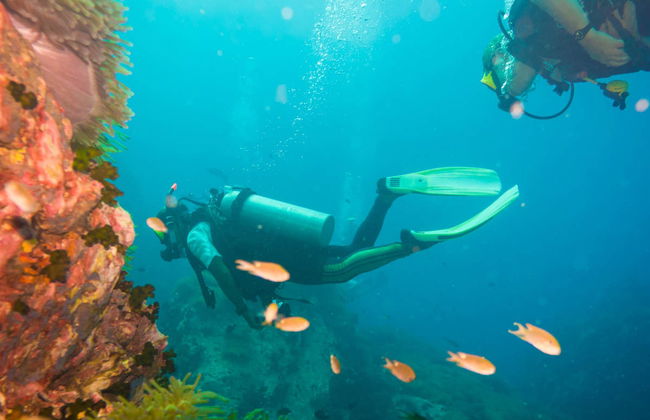 Koh Tao Scuba Diving Experience - Photo 2