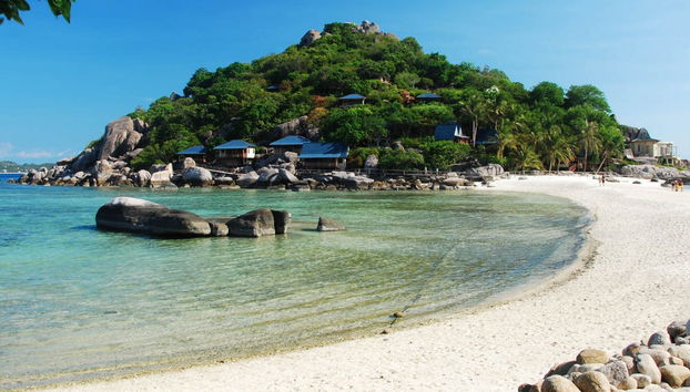 Koh Tao Scuba Diving Experience - Photo 3