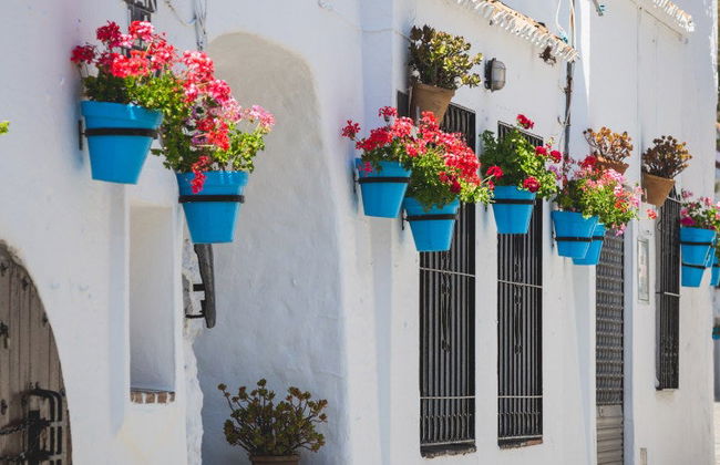 Tour privado por Mijas ¡Tú eliges - Foto 2