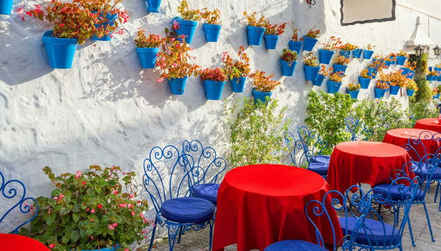 Visite privée dans Mijas. À vous de choisir - Photo 2