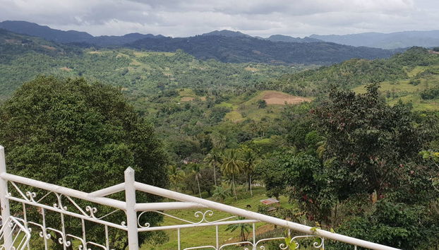 Escursione al Tempio Leah e Giardino Sirao - Foto 3