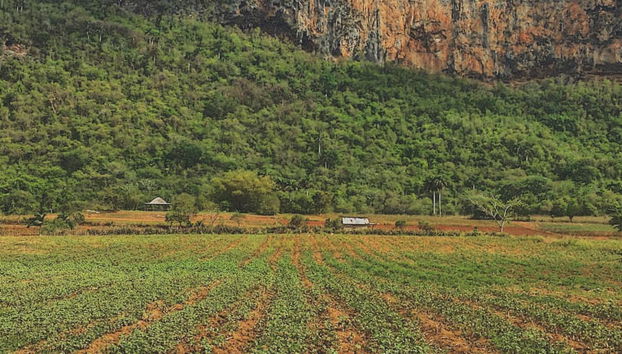 Senderismo por el Valle de Palmarito - Foto 4