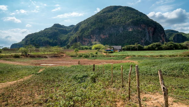 Senderismo por el Valle de Palmarito - Foto 2