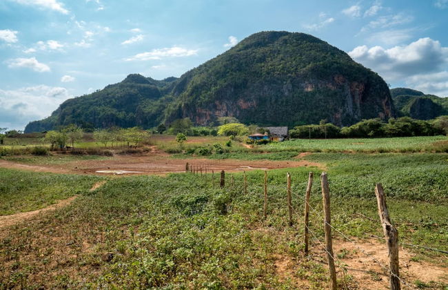 Hiking in Valle de Palmarito - Foto 2