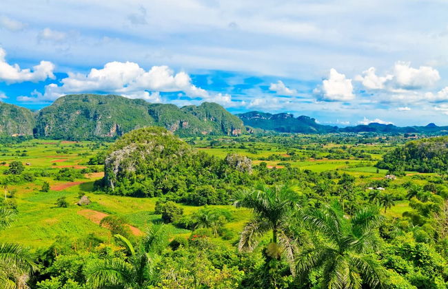 Hiking in Valle de Palmarito - Foto 1