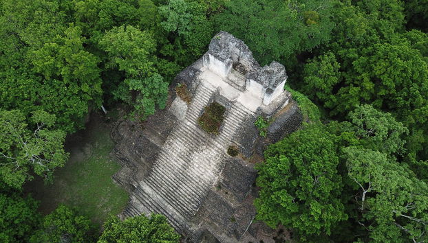 Excursión a Kohunlich y Dzibanché - Foto 4