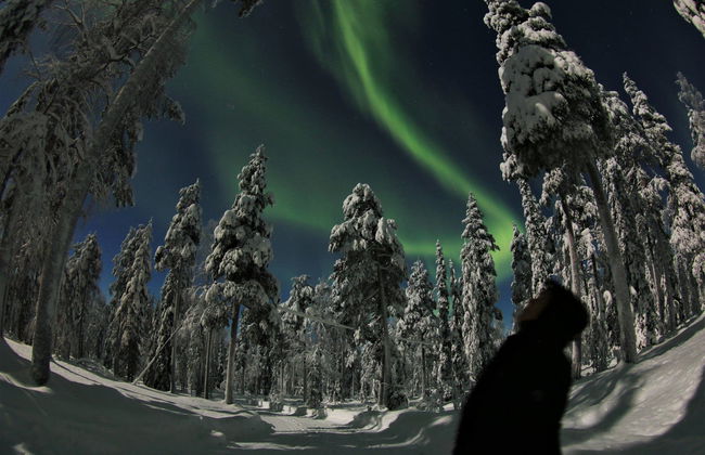 Observation des aurores boréales en raquettes à neige - Photo 1