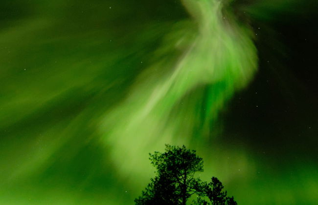 Tour da aurora boreal com raquetes de neve - Foto 5
