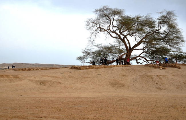 Sakhir Desert Excursion - Foto 8