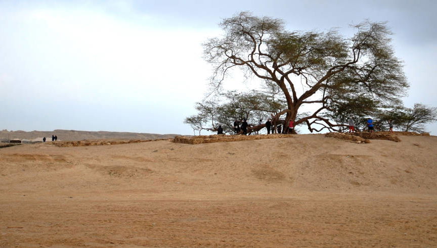 Excursión al desierto de Sakhir