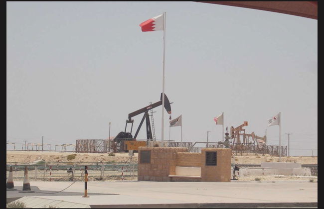 Sakhir Desert Private Day Trip - Foto 4