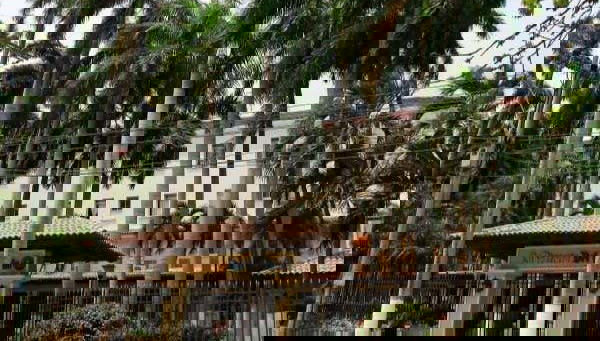 Visite du quartier historique d'El Prado - Photo 1