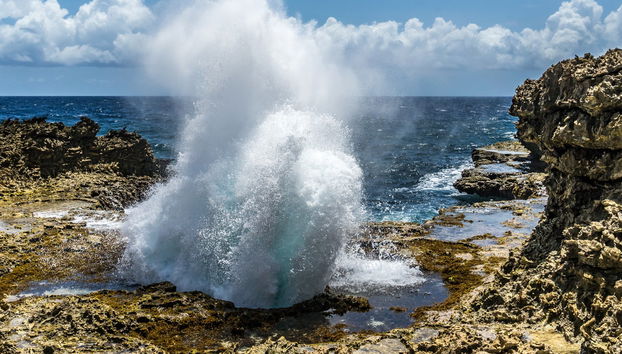 Curaçao Island Tour - Photo 5