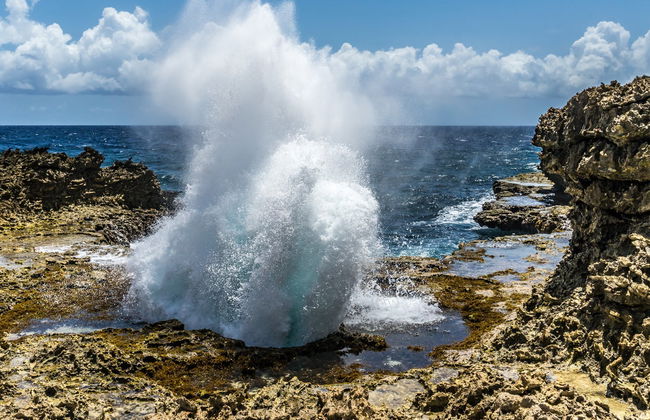 Curaçao Island Tour - Photo 5