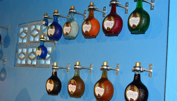 Curaçao Island Tour - Photo 4