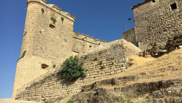 Visita guiada por Sabiote - Photo 2