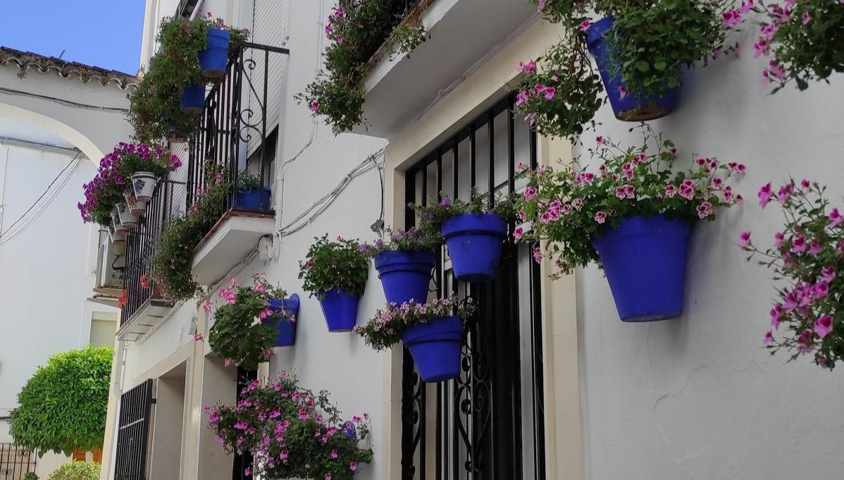 Tour privado por Cabra ¡Tú eliges!