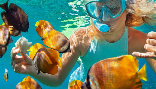 Snorkel en la Pared de El Palmar - Foto 4