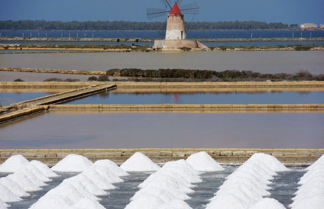 Excursión a Marsala, Erice y Segesta - Foto 6
