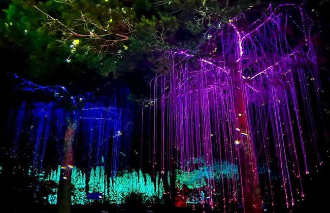 Visita guiada por el BIBO PARK Ibiza Botánico Biotecnológico - Foto 7