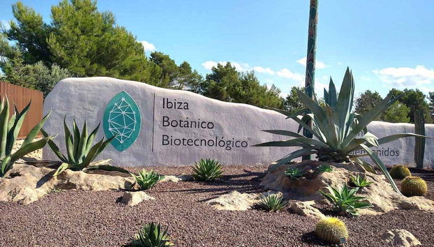 Visita guidata al BIBO PARK Ibiza Botánico Biotecnologico - Foto 5