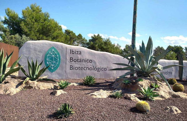 Ibiza Biotechnological Botanical Garden Tour - Photo 5